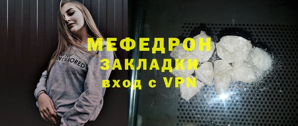 индика Богородицк
