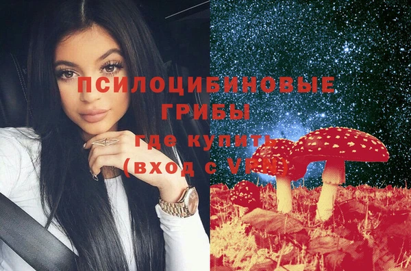 индика Богородицк
