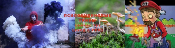 гашик Богданович