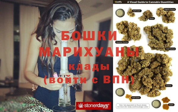 гашик Богданович