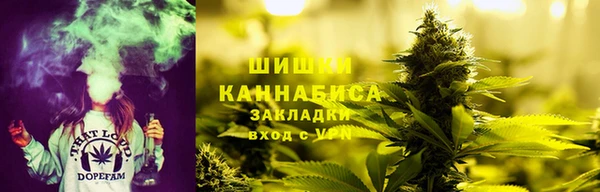 гашик Богданович