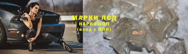 ешки Пересвет