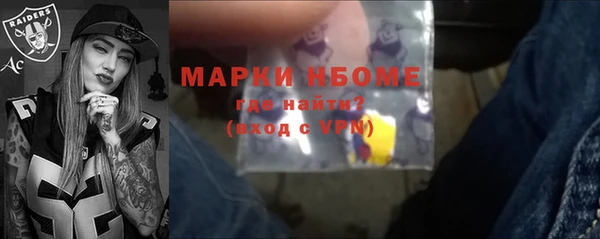 индика Богородицк