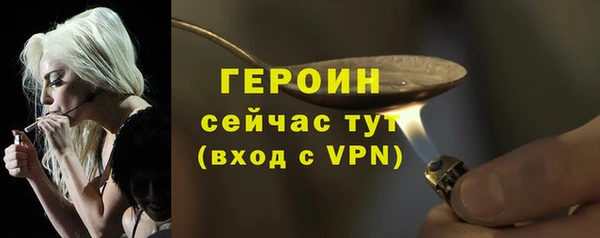 индика Богородицк