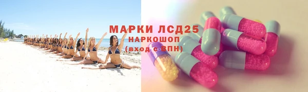 гашик Богданович