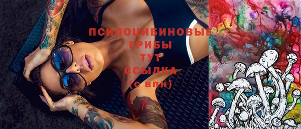индика Богородицк
