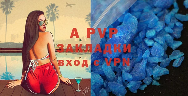 индика Богородицк