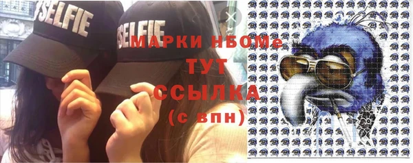индика Богородицк