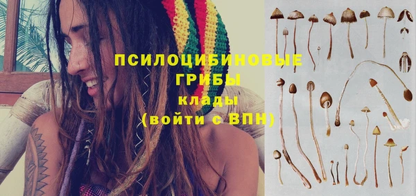 винт Богородск