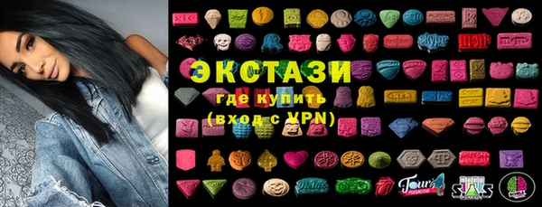 индика Богородицк