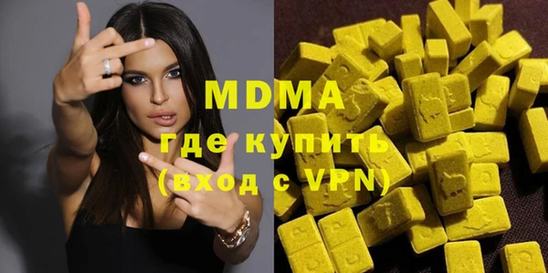 индика Богородицк