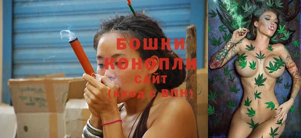 индика Богородицк